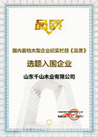 荣誉资质