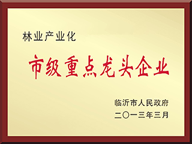 荣誉资质